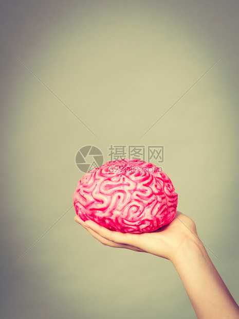 女手握着大脑心想某事思考解决问题的理念图片