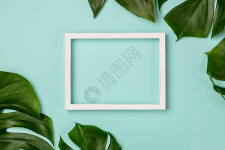 创意公寓与热带植物合在一起白框与蓝背景的文本相同创意公寓与热带植物合在一起白框与文字合在一起图片