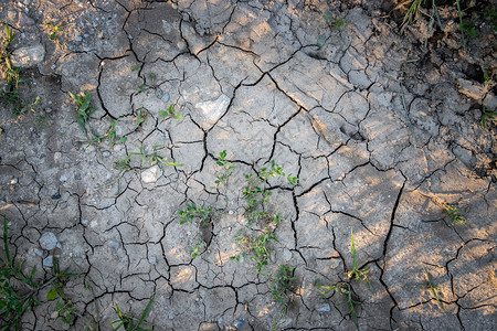 农业田地上的干土旱图片
