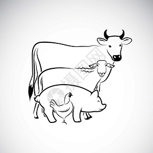 矢量组牛羊皮克鸡北极动物容易编辑的多层矢量说明动物农场图标插画