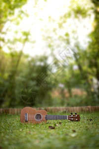 Ukulele躺在绿色的草地上模糊公园区在背景中图片