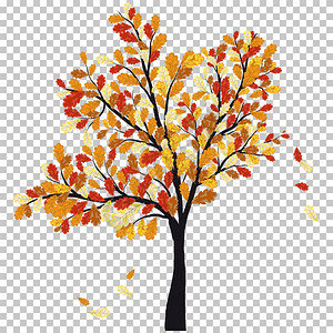 秋橡树和落叶矢量说明图片