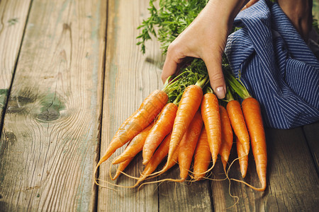 女人和新鲜的胡萝卜有机橙胡萝卜健康的素食菜新鲜的胡萝卜和图片