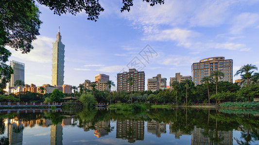 台北公园花和摩天大楼的反射图片