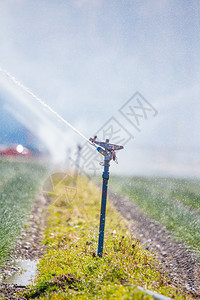 农业田里的灌溉厂夏日土壤图片