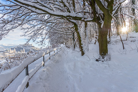 萨尔茨堡的漫步游行寒雪的冬季风景图片