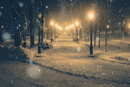 美妙的冬季城市公园夜景图片
