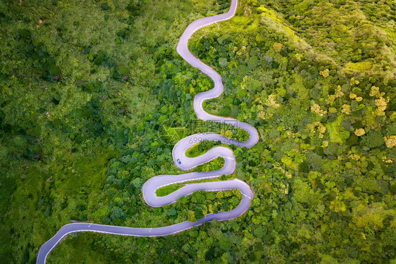 台北市农村天然林公路空中景象图片