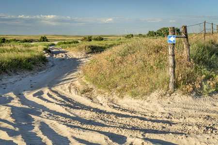 Nebraska森林中DismalRiver岸边的内布拉斯加森林图片