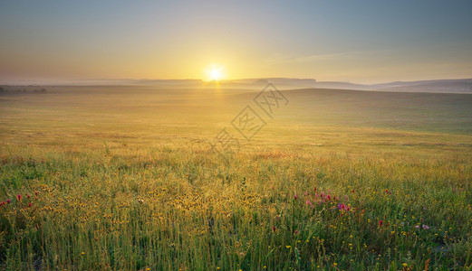 清晨草原上的自然风光图片