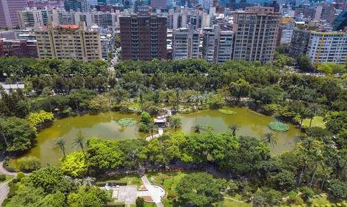 台北公园花树木的空中景象和摩天大楼的反射背景图片