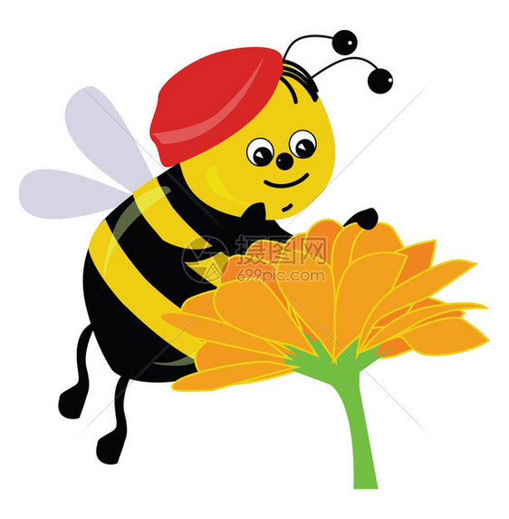 一只快乐的蜜蜂在橙色花朵上矢量彩色画或插图上图片
