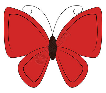 自然图像一张红蝴蝶图上面有棕色胸部黑天线和红翅膀宽阔地张开插画