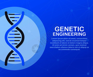 遗传工程概念可用于网络横幅信息图英雄像矢量存解背景图片