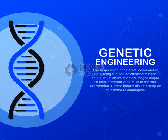 遗传工程概念可用于网络横幅信息图英雄像矢量存解图片