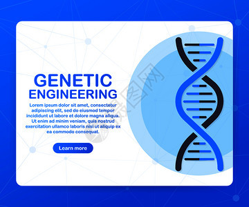 遗传工程概念可用于网络横幅信息图英雄像矢量存解背景图片