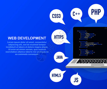 编程网络开发概念笔记本电脑屏幕代码矢量库存图解互联网高清图片素材