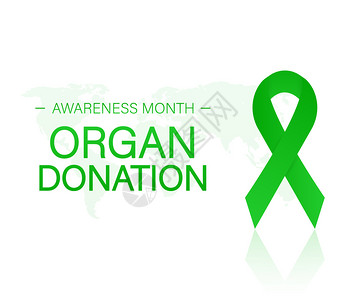 禁止器官移植和捐赠意识现实的绿色丝带矢量存说明图片