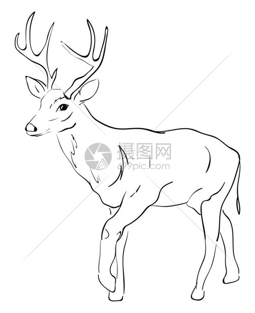 白背景上的鹿图画插矢量