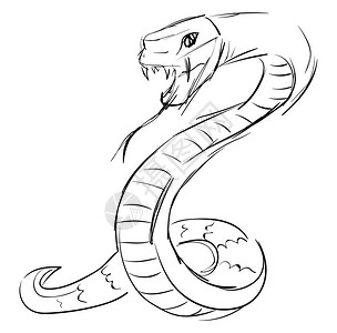 蛇宝宝白色背景的蛇纹画插图矢量插画