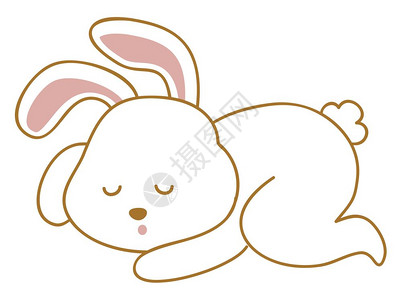 夫妻床背对睡睡兔子插图白色背景的矢量插画