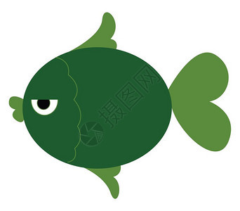 绿色的鱼图片