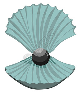 榴莲壳张开的罐壳矢量彩色绘画或插图中的可爱黑珍珠插画