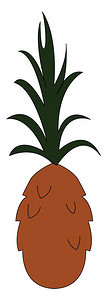 菠萝不成熟没有绿叶矢量颜色图画或插的菠萝图片