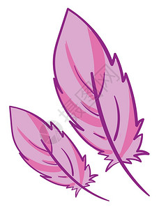 两只粉红羽毛有深口音矢量彩色绘画或插图图片