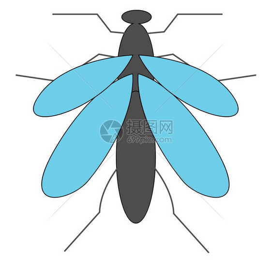 带有长和细体的卡通灰色蚊子有蓝前缝线和后带两根天四薄腿矢量彩色图或插图片