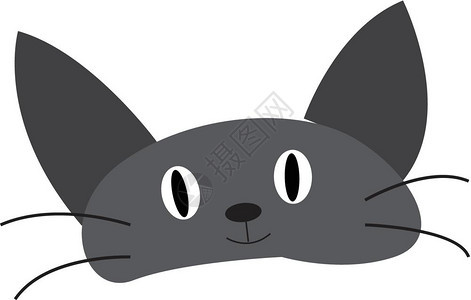 灰色小猫脸有黑长胡子灰矢量颜图画或插背景图片
