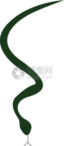 绿色的毒蛇图片