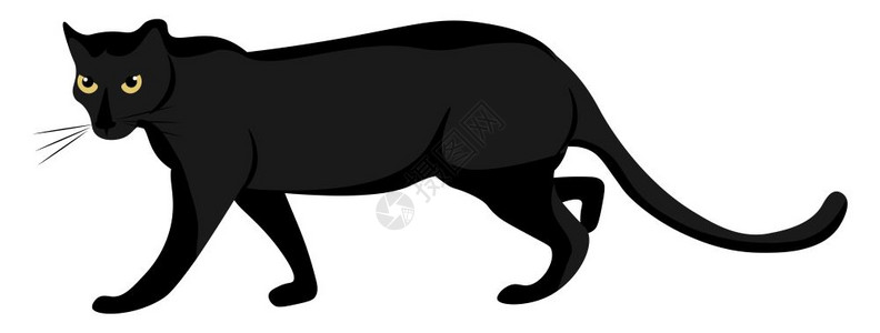 抖腿长腿短大黑野猫的卡通头骨大发亮眼胡须和长尾巴是行走矢量彩色