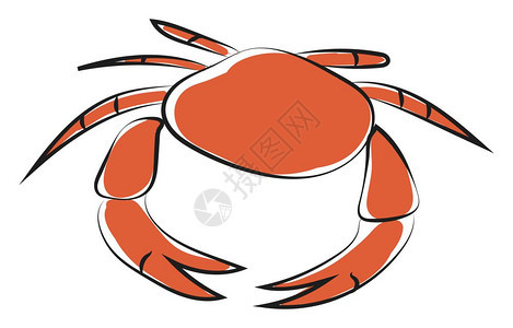橙色螃蟹的滑板有两条尖钉子5条步行腿以及一三角形大尺寸矢量彩色图或插头图片