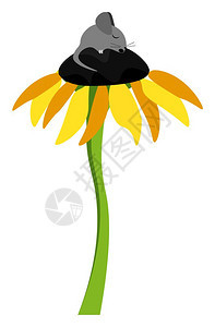 一只可爱的小黑老鼠睡在高向日葵植物的花粉盘上长的细绿色尾叶矢量彩图画或插上图片