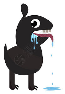 黑色狗的滑板口流唾液边站立矢量彩色图画或插图片