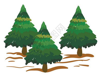 覆盖着雪花的三棵金绿树有独特的锥形和悬吊挂形小棕色树干在土壤矢量彩色图画或插上方生长图片