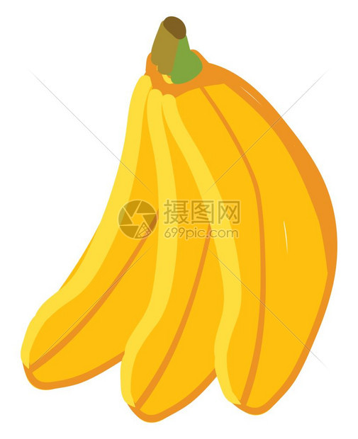 3个金香蕉向量彩色画或插图图片