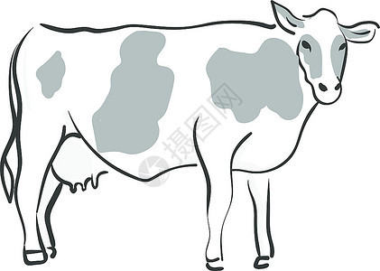 发现牛矢量彩色画或插图的轮廓图片