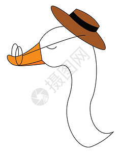 动物唯美用阅读眼镜和帽子矢量插图鸭插画