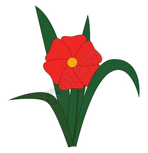 红花有六瓣橙核和绿叶周围有矢量彩色画或插图图片