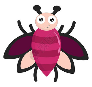 一只快乐的粉色条纹苍蝇翅膀张开向量彩色画或插图图片