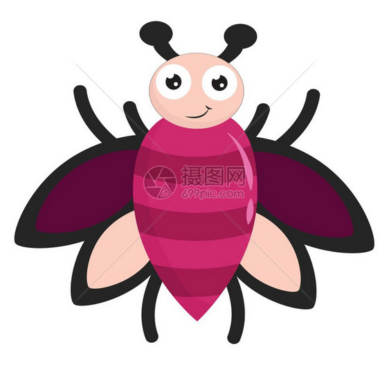 一只快乐的粉色条纹苍蝇翅膀张开向量彩色画或插图图片