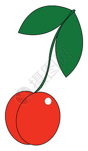 成熟的红樱桃配有两种绿叶向量彩色绘画或插图图片