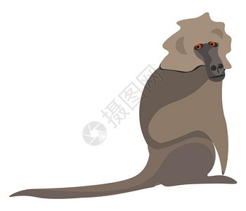 棕色的大老世界地栖息猴子的剪贴板长狗似黑鼻子和两只红色眼睛矢量彩图画或插背景图片