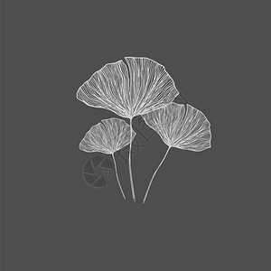 佛祖画像黑色背景上三朵和白花的纵向画像看起来很美的矢量颜色图画或