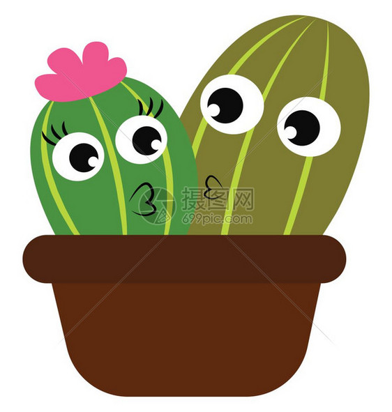 棕色花盆里的男女仙人掌植物彼此相爱女孩植物穿粉红色短片有着美丽的睫毛矢量彩色图画或插图片