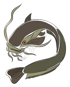 绘制灰色鱼的油漆其身体长三角鳍和心形尾巴在后面旋转而游泳矢量的彩色绘画或插图图片