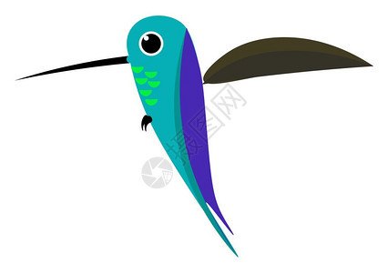 卡通彩色可里卜鸟有薄长的紫羽毛单在绘制或插图飞行矢量颜色时正在拍其棕色翅膀图片