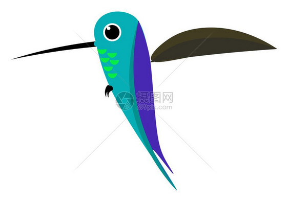 卡通彩色可里卜鸟有薄长的紫羽毛单在绘制或插图飞行矢量颜色时正在拍其棕色翅膀图片